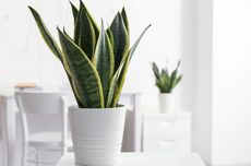 MenPAN-RB dan Menkeu Perkuat Peran Strategic Diamond