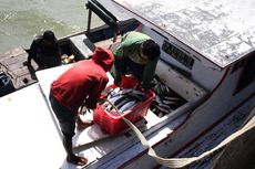 Dilarang Masuk ke Malaysia, Penjualan Ikan Nelayan Sebatik Turun Drastis