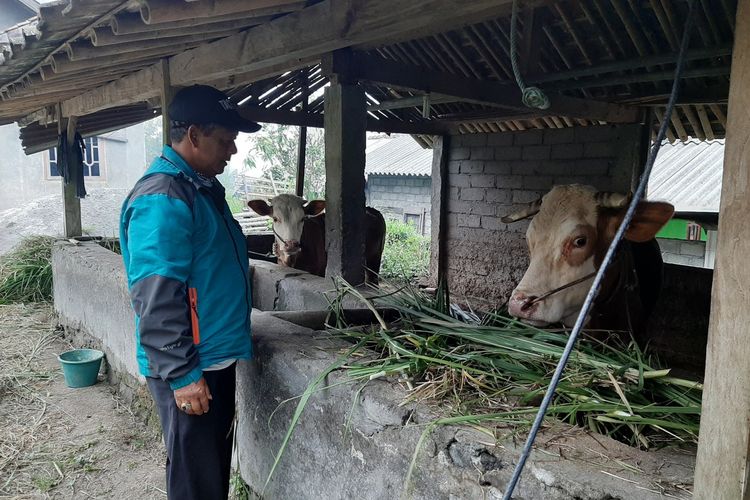 Salah satu warga Kalitenah Lor