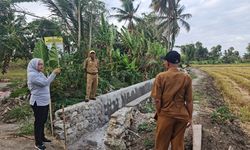 Kementan Upayakan Pemompaan Lahan Sawah di Soppeng, Sulsel yang Terdampak El Nino