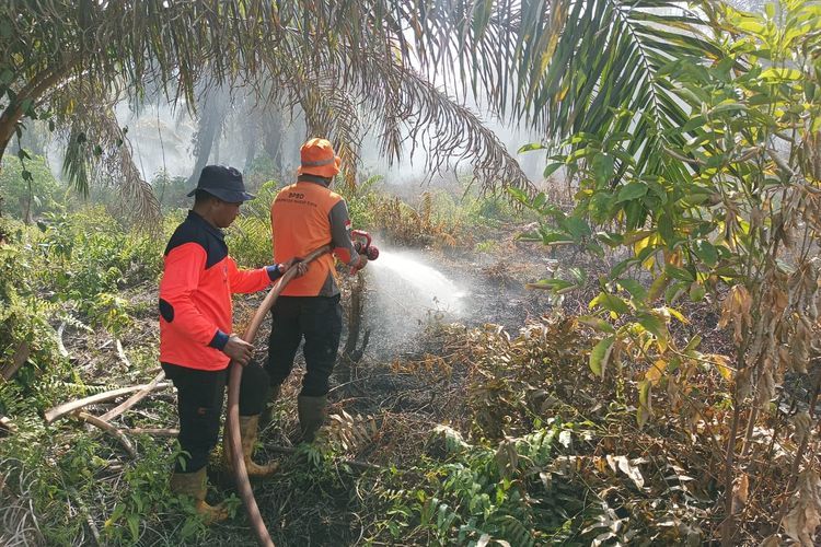 Karhutla di Nagan Raya Aceh Meluas hingga 90 Hektare Lahan