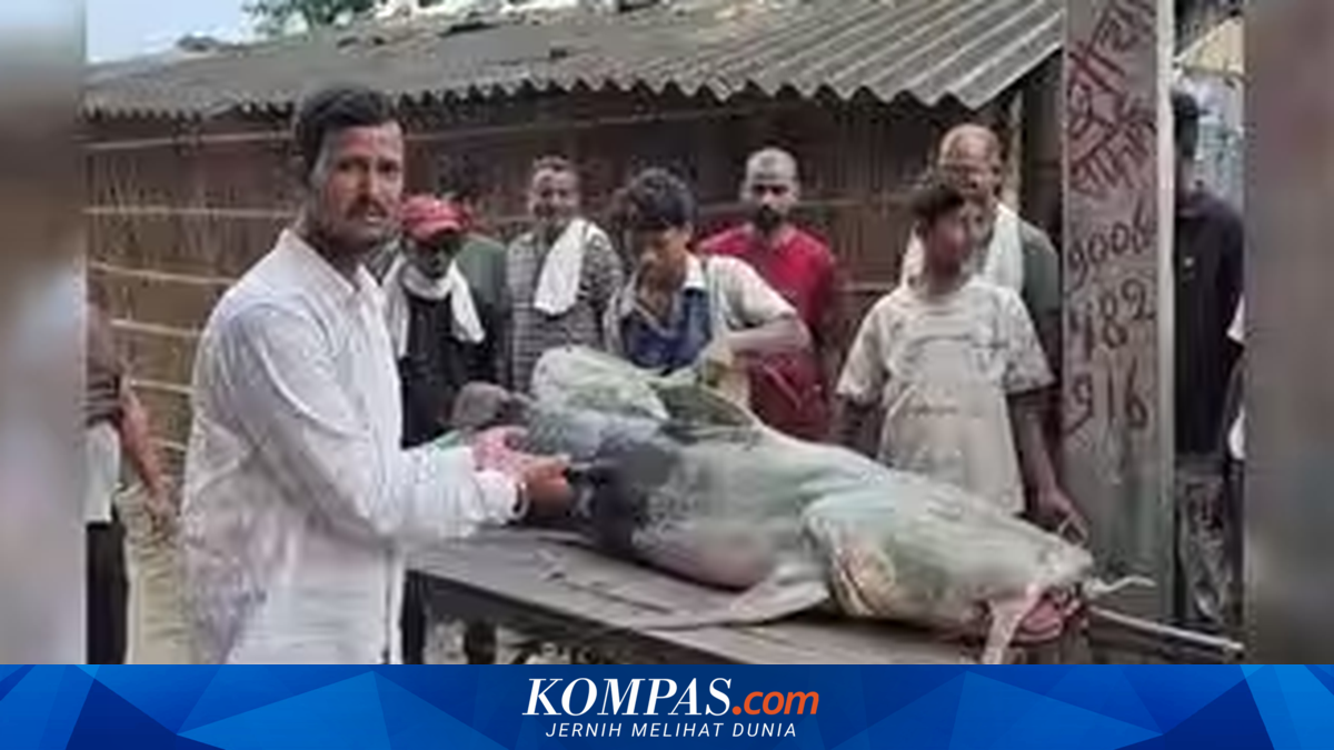 Kenapa India Larang Warganya Makan Ikan yang Dibawa Banjir Nepal?