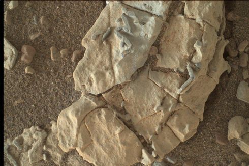 Benarkah Benda dalam Foto di Mars Ini Jejak Fosil Alien?