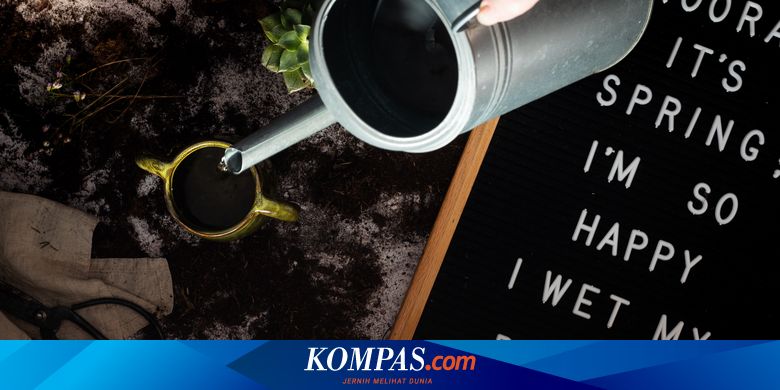 Jangan Dibuang, Gunakan Limbah Kopi untuk Menyuburkan Tanaman - Vimarsana News