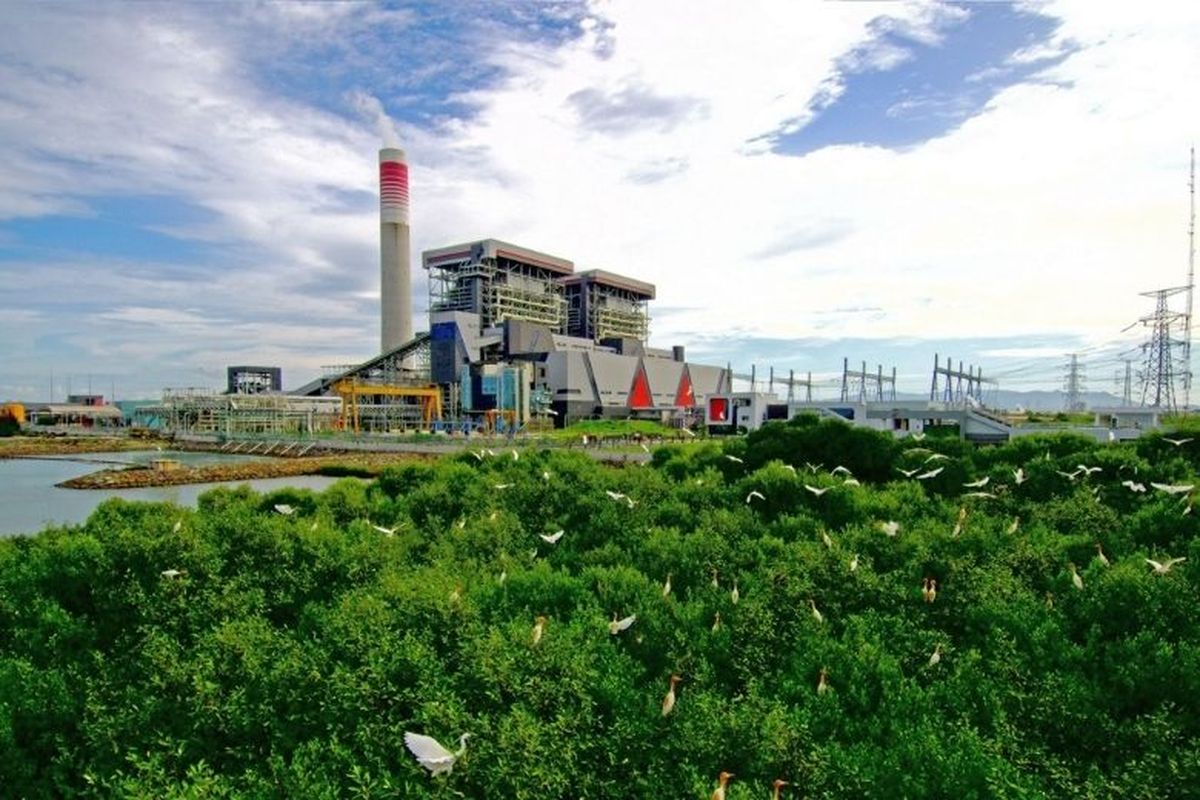 PLN sejak beberapa tahun terakhir memaksimalkan potensi energi biomassa untuk pembangkit listriknya.
