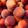 Mengapa Buah Persik Berbulu Halus?