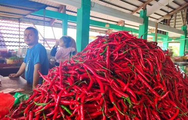 Harga cabai merah di Kabupaten Karimun, Kepulauan Riau (Kepri) terpantau kembali mengalami kenaikan. Terbaru, harga cabai merah di pasar-pasar yang ada di Karimun menembus Rp100 ribu per kilogramnya (Kg).