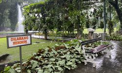 BRIN: Alih Fungsi Lahan hingga Overtourism Jadi Ancaman Keanekaragaman Hayati di Jawa