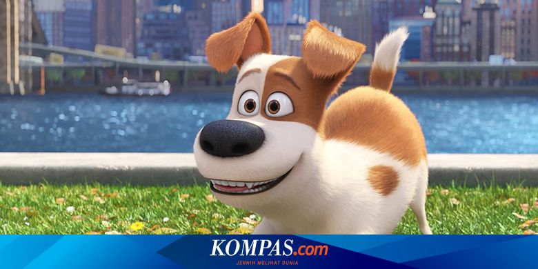 Sinopsis The Secret Of Pets Petualangan Seru Hewan Hewan