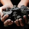 Menuju Transisi Energi Berkeadilan, Perlu Mitigasi di Daerah Penghasil Batu Bara