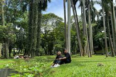 3 Spot Foto Cantik di Taman Langsat di Jaksel