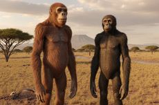 Banjir dan Longsor di Sumut, Puan: Bantuan Logistik Jangan sampai Terlambat