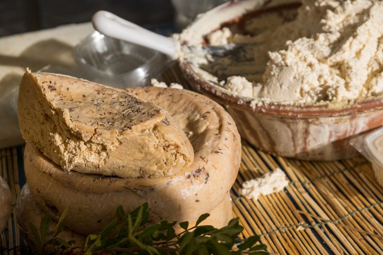 Ilustrasi casu marzu, keju susu domba campur belatung dari Sardinia, Italia. 