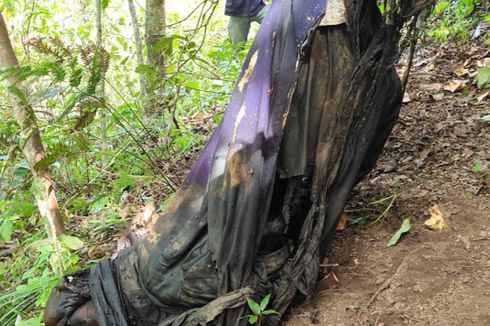 Jenazah Pria Ditemukan Tergantung di Kaki Gunung Rinjani