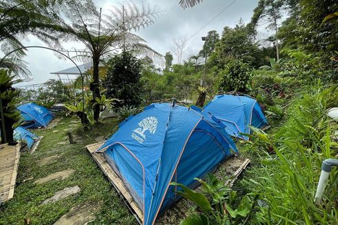 4 Fasilitas di Lembah Pinus Camp & Cafe Bogor, Tempat Camping sampai Kolam Renang