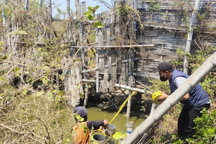 Tak Kelola Air Limbah Sesuai Prosedur dan Berpotensi Mencemari, DLH Segel Tambak di Gresik