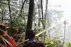 Penyebab Kebakaran Hutan di Sembakung Atulai Nunukan, 5 Hektar Lahan Hangus