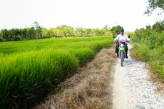 Pengamat Puji Kebijakan Mentan Amran Tingkatkan Pertanian Indonesia