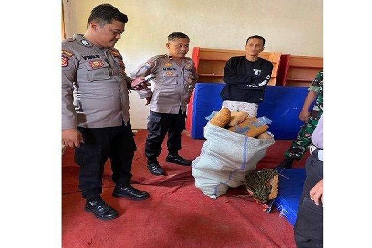 Barang bukti ganja diamankan polisi di Kabupaten Padang Pariaman, Sumbar, Rabu (11/1/2023) 
