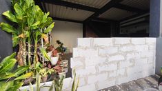 Sekeluarga di Pondok Aren Tangsel Terkurung Tembok Imbas Sengketa Lahan