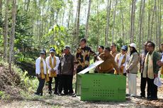 Wanagama Nusantara Jadi Pusat Edukasi dan Konservasi Lingkungan di IKN