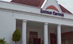 Kimia Farma Kembangkan Bisnis Terapi Sel Punca, Bidik Perluasan Akses Layanan