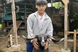 Nekat Ternak Kambing di Tengah Komplek, Gen Z di Bekasi Buktikan Kandang Modern Bebas Bau