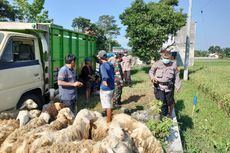 Jualan di Pinggir Jalan Saat Pasar Hewan Ditutup, Sejumlah Pedagang Dibubarkan Polisi