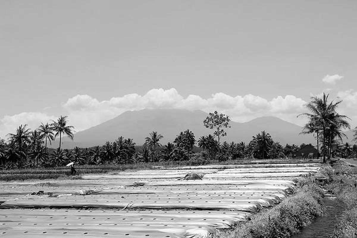 Puncak Gunung Raung pada Selasa (23/10), saat dipantau, Kecamatan Songgon, Banyuwangi, Jawa Timur, tertutup awan tebal. Gunung Raung sejak Senin lalu berstatus Siaga, tetapi warga masih tetap beraktivitas seperti biasa.