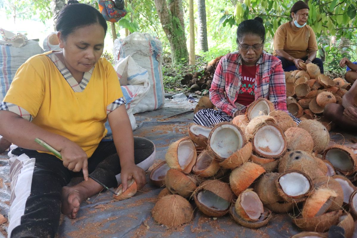 Perempuan di Desa Bantala, Flores, membuat briket dari batok kelapa untuk bahan bakar. 