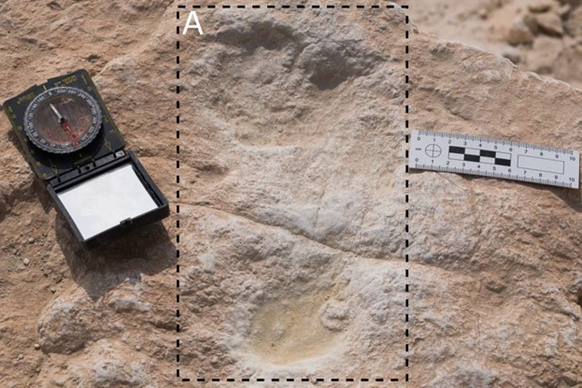 Jejak kaki manusia purba berusia 120.000 tahun, ditemukan di Arab Saudi.