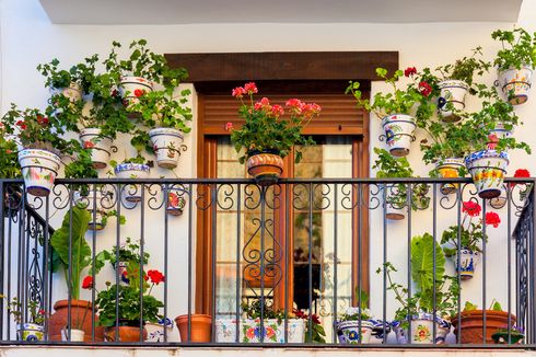 Cara Membersihkan Balkon Rumah yang Digunakan untuk Berkebun