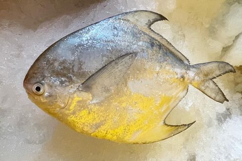 3 Langkah Penjualan Ikan Laut Segar ala Aiting Seafood, Penyortiran sampai Distribusi
