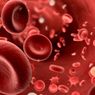 Fungsi Darah Bagi Tubuh Manusia