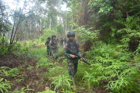 Ladang Ganja Seluas 200 Meter Persegi Ditemukan di Hutan Boven Digoel