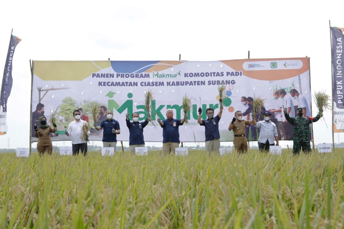 Lewat Program Makmur, Pupuk Indonesia Tingkatkan Produksi Petani 44 Persen