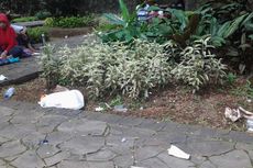 Sampah Bertebaran di Kebun Binatang Ragunan