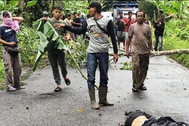 Hujan Disertai Angin Kencang, Pengendara Motor di OKU Timur Tewas Tertimpa Pohon