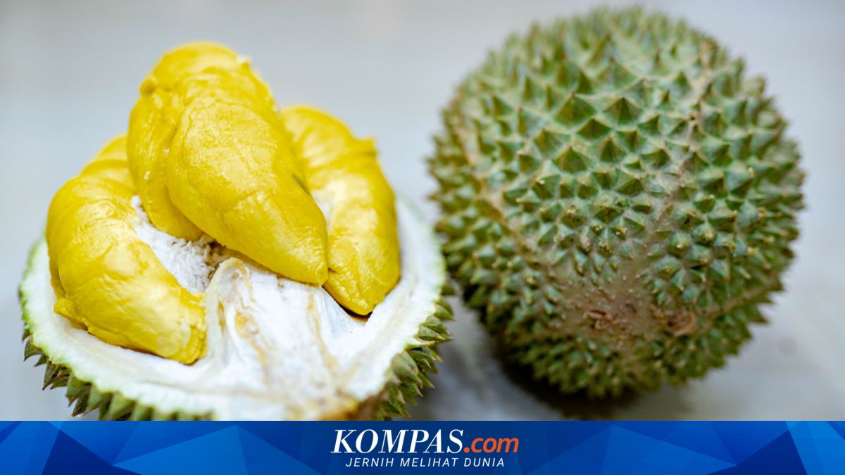 Durian Melimpah di Malaysia, Harga Anjlok hingga Warga Pesta Durian