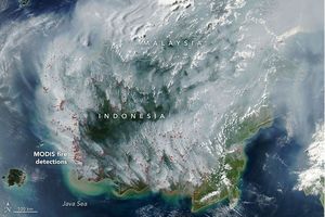 Kepulan Asap Karhutla Kalimantan Terekam NASA, Menyebar hingga Malaysia