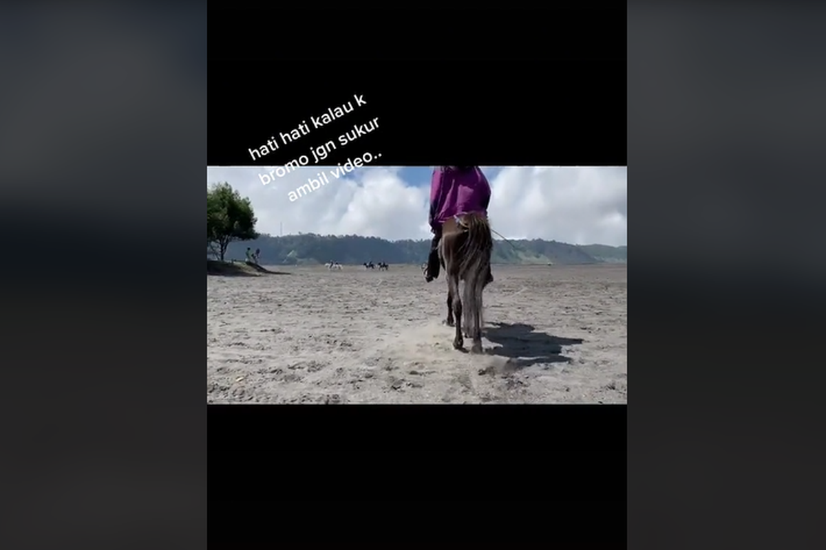 Video Wisatawan Gunung Bromo Bayar Rp 50.000 Usai Rekam Kuda