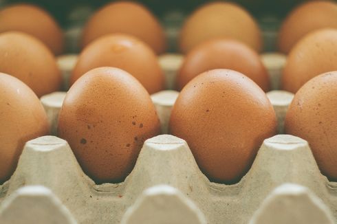 Stop Menyimpan Telur di Kulkas, Ini Bahayanya 