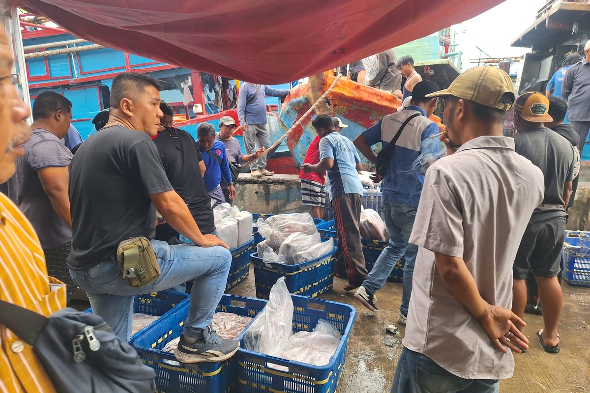 Banjir Rob Ganggu Aktivitas Bongkar Muat Ikan di Pelabuhan Muara Angke