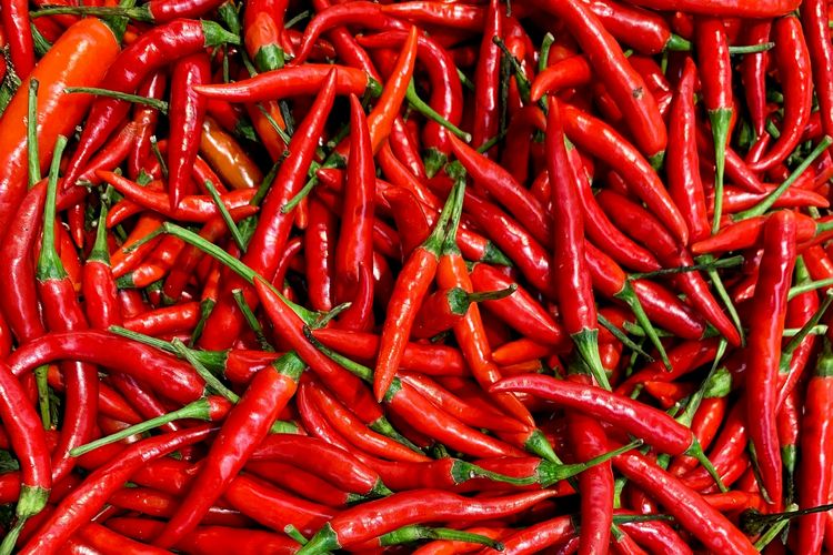 11 Makanan Sehat untuk Meningkatkan Kesehatan Pembuluh Darah