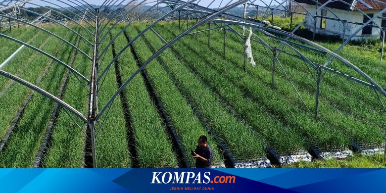 Tak Mau Ketinggalan Zaman Pertanian Indonesia Gunakan Teknologi 4 0 Halaman All Kompas Com