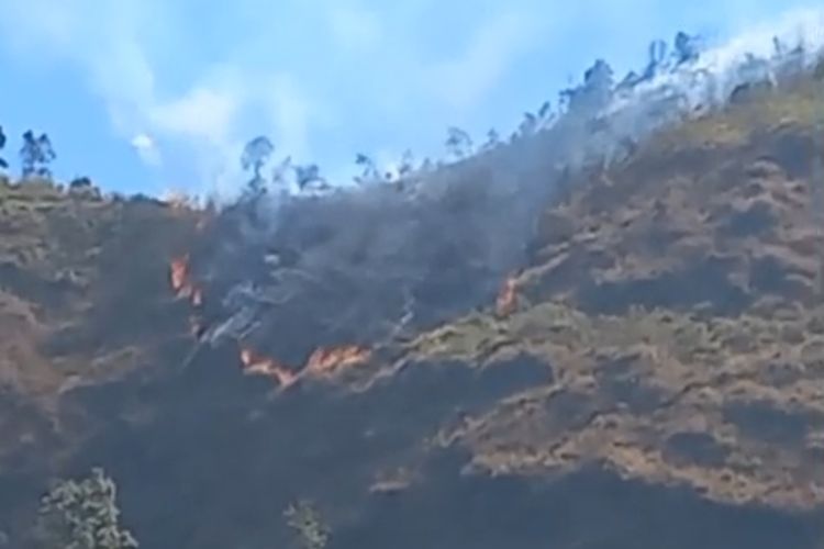 Gunung Kelir di Semarang Terbakar, Lahan 10 Hektare Hangus