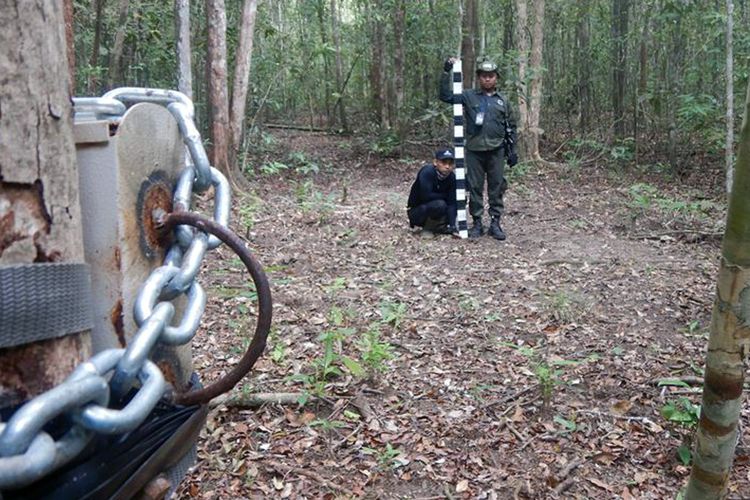 Pemasangan kamera jebak (trap camera) di kawasan hutan Taman Nasional Way Kambas (TNWK). Kamera jebak ini untuk merekam dan mensurvei keberadaan badak liar di kawasan hutan tersebut. (FOTO: Dok. ALeRT)