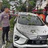 Pohon Tumbang di Ambon Timpa Mobil yang Sedang Parkir