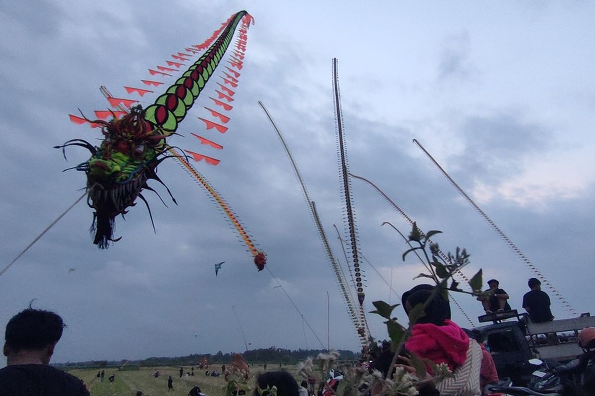 Puluhan layang-layang naga terbang memenuhi hamparan sawah yang sudah kering usai panen di Kalurahan Banaran, Kapanewon Galur, Kabupaten Kulon Progo, Daerah Istimewa Yogyakarta. Layang-layang itu panjangnya puluhan hingga seratusan meter.