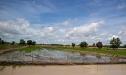 Pemerintah akan Beri Kompensasi Rp 6 Juta kepada Petani Terdampak Banjir
